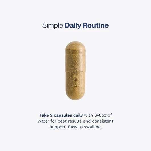 Prostate Support for Men, Urinary Flow & Bladder Care