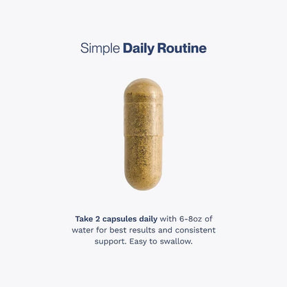 Prostate Support for Men, Urinary Flow & Bladder Care